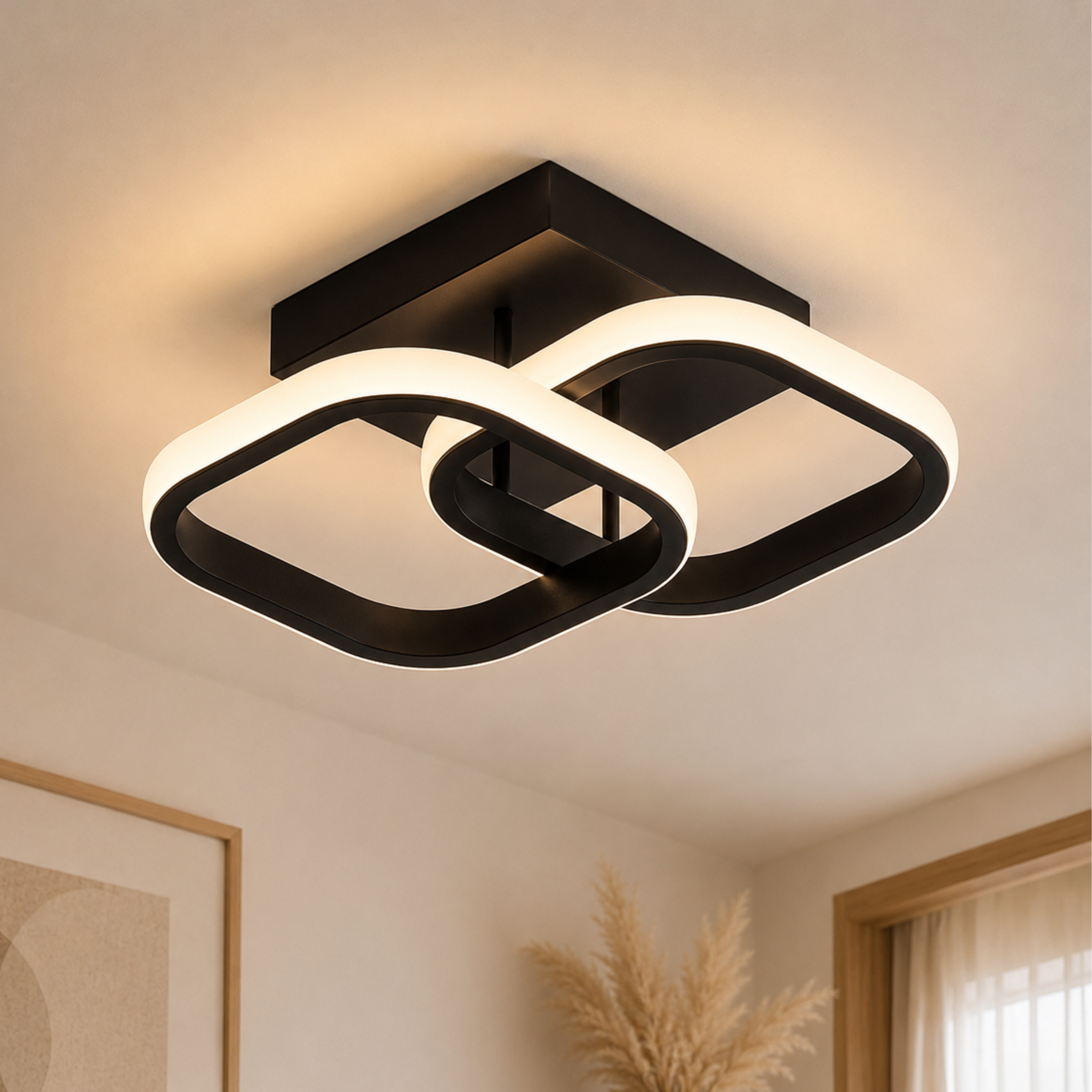 Modern LED Ceiling Light