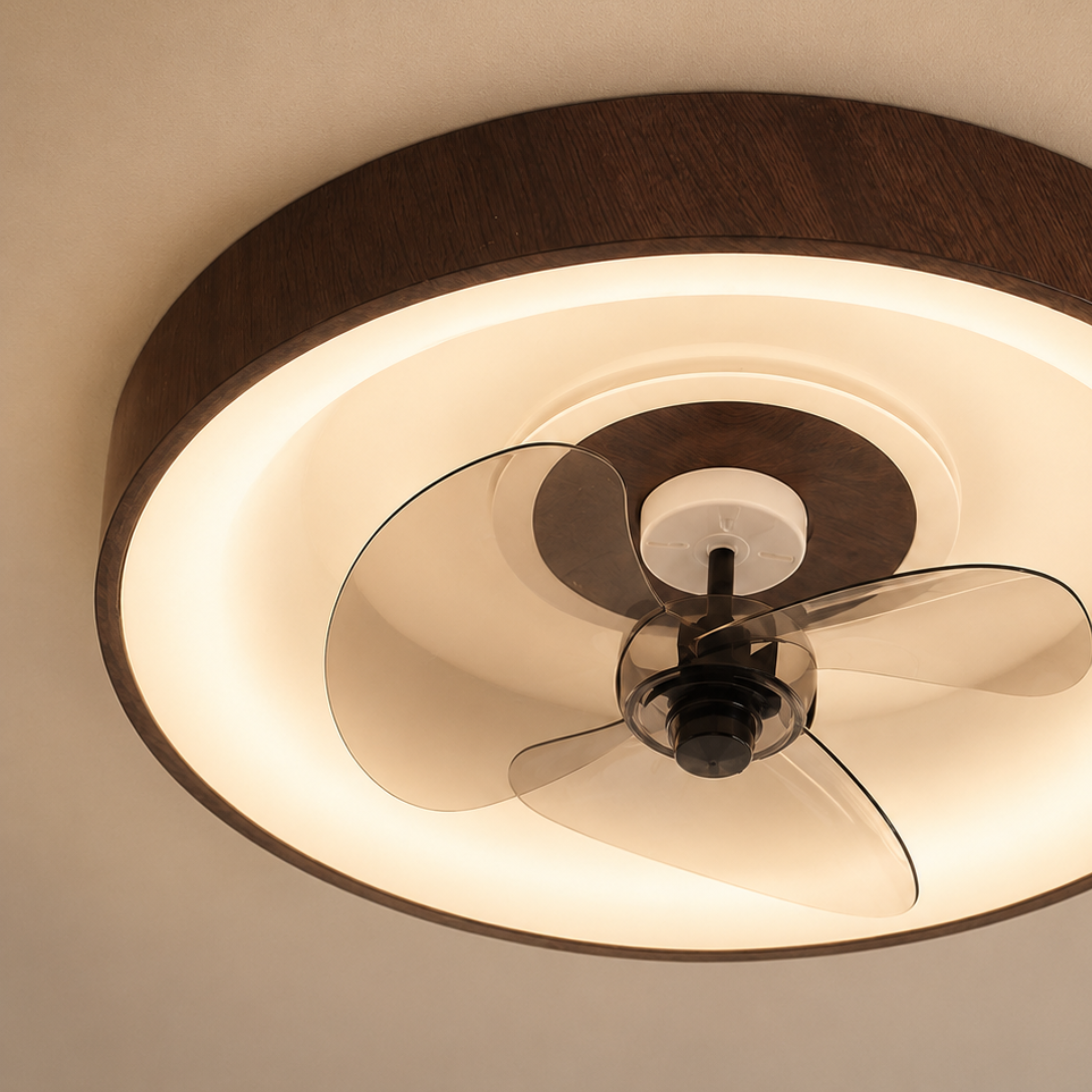 Modern Minimalist LED Ceiling Fan Light