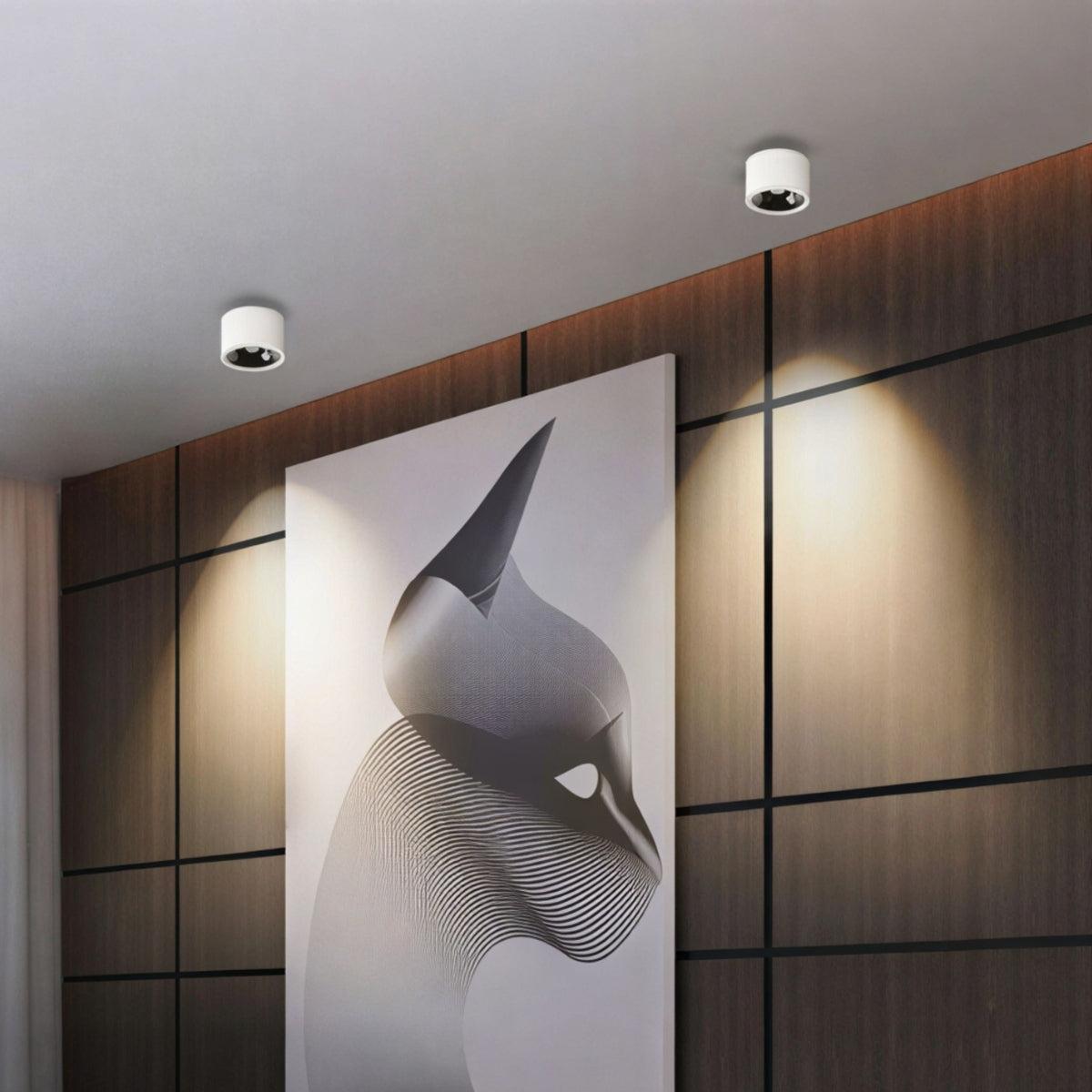 Cylindrical Ceiling Light Fixture With Adjustable Flush Mount Spotlight