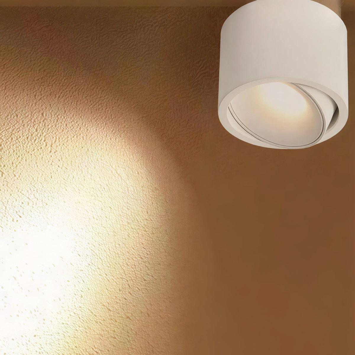Cylindrical Ceiling Light Fixture With Adjustable Flush Mount Spotlight