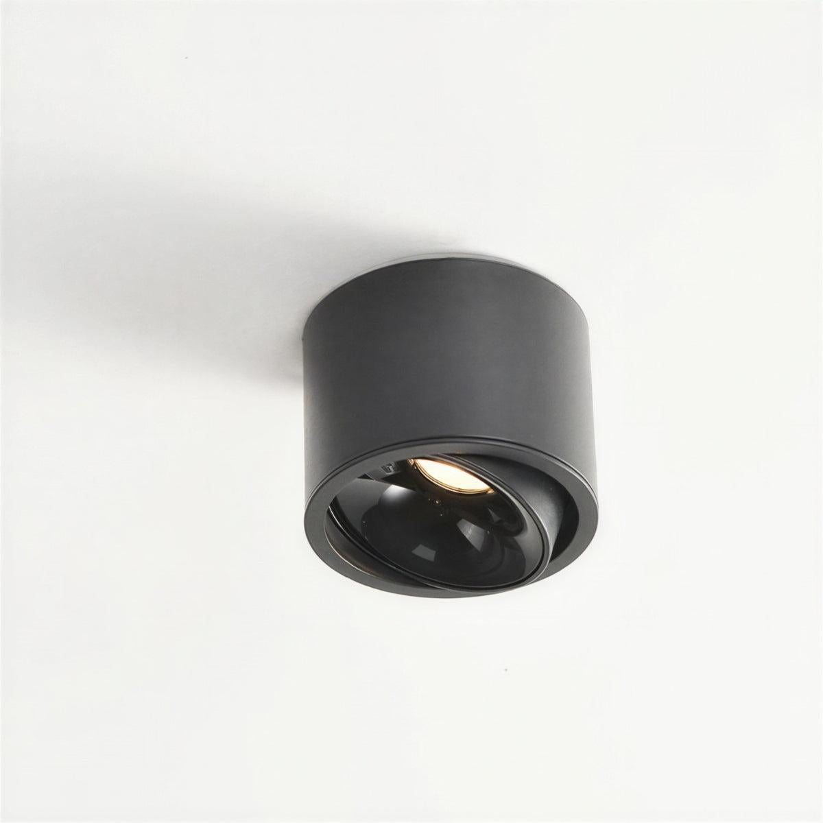 Cylindrical Ceiling Light Fixture With Adjustable Flush Mount Spotlight