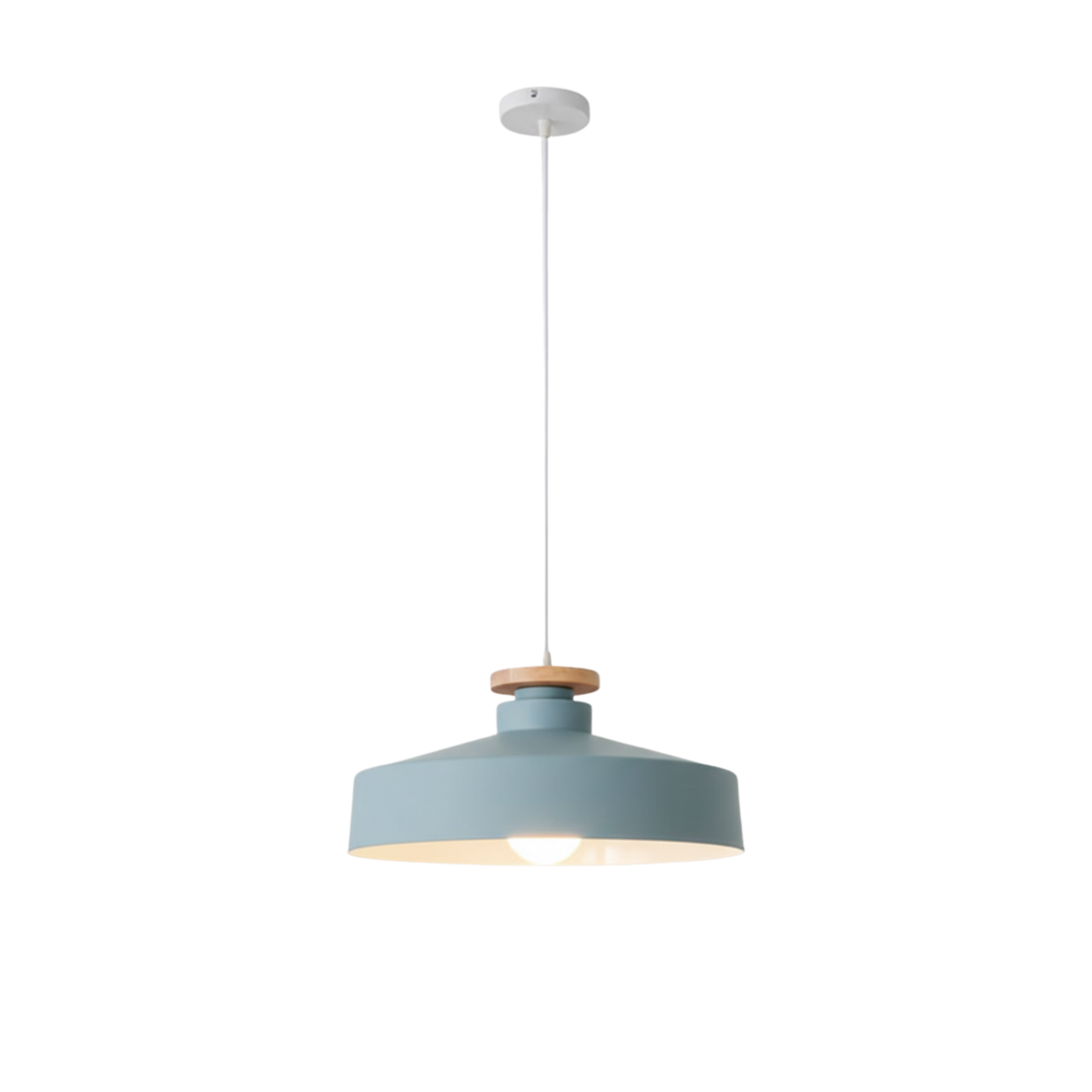 Black Iron LED Pendant Ceiling Light