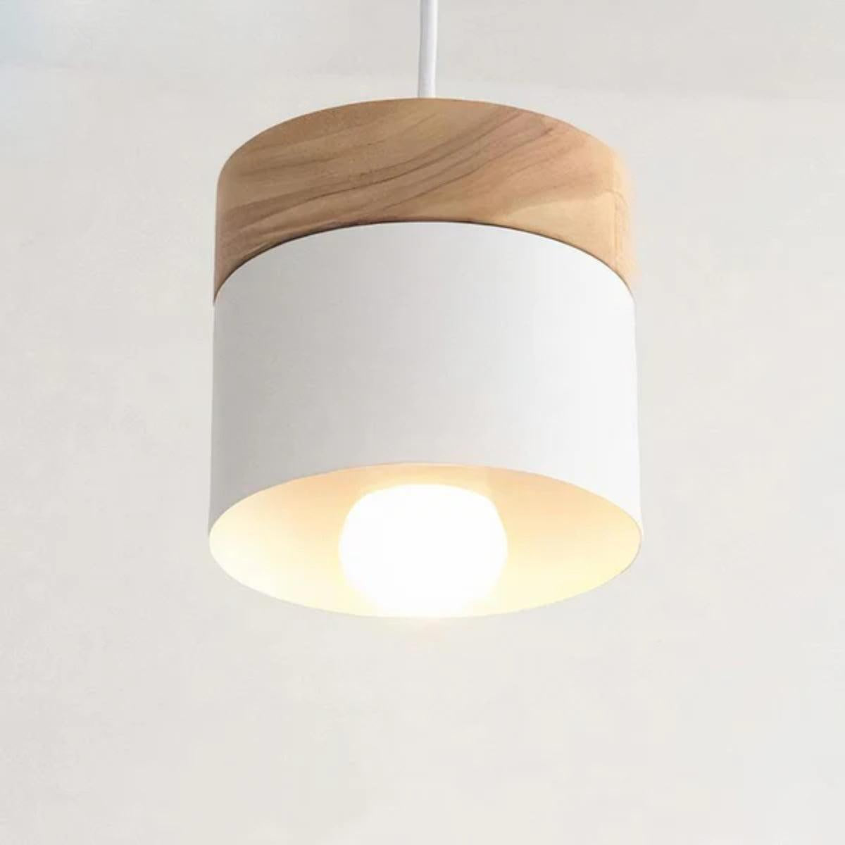 Modern Ceiling Pendant Light With Stylish Minimalistic Wooden Base