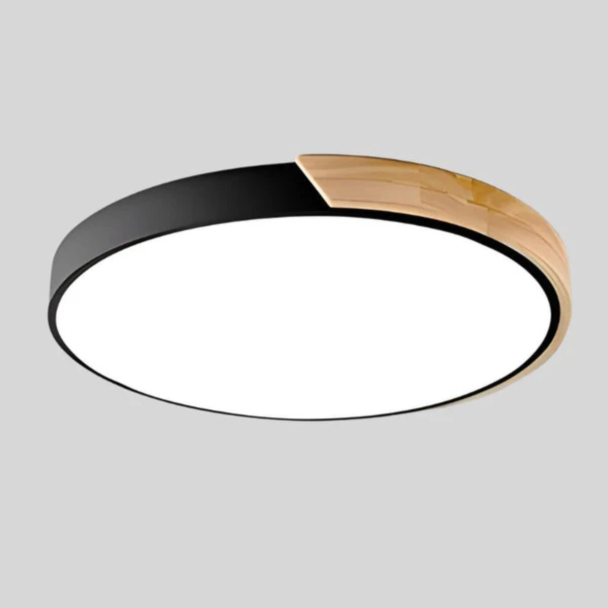 Modern Minimalist Circular Flush Mount Ceiling Lighting Fixture