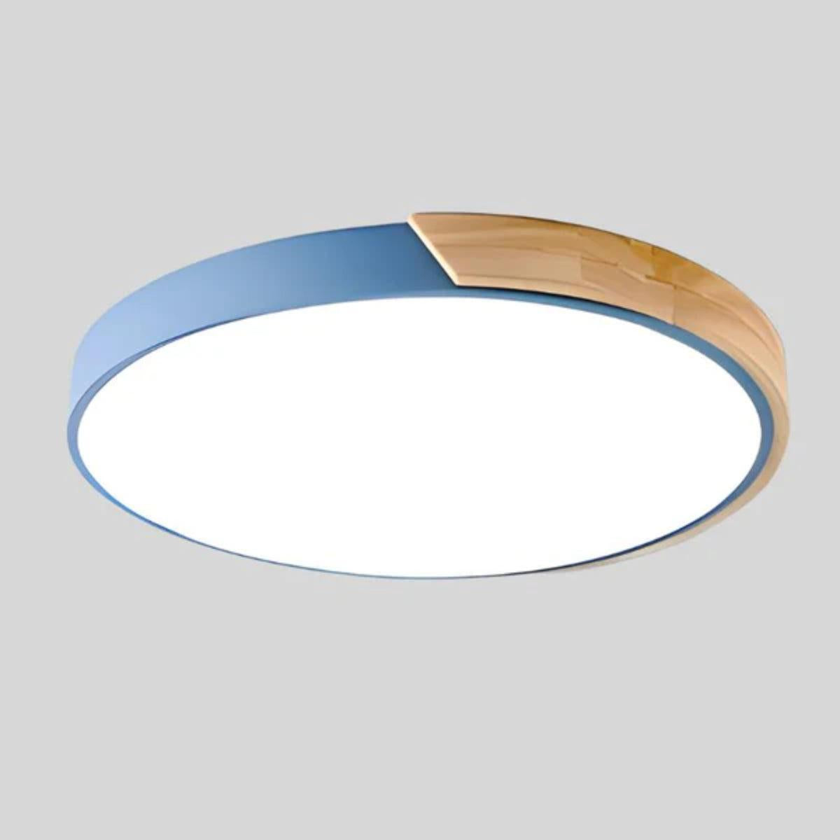 Modern Minimalist Circular Flush Mount Ceiling Lighting Fixture