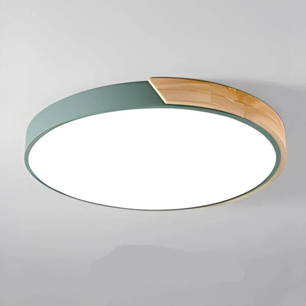 Modern Minimalist Circular Flush Mount Ceiling Lighting Fixture