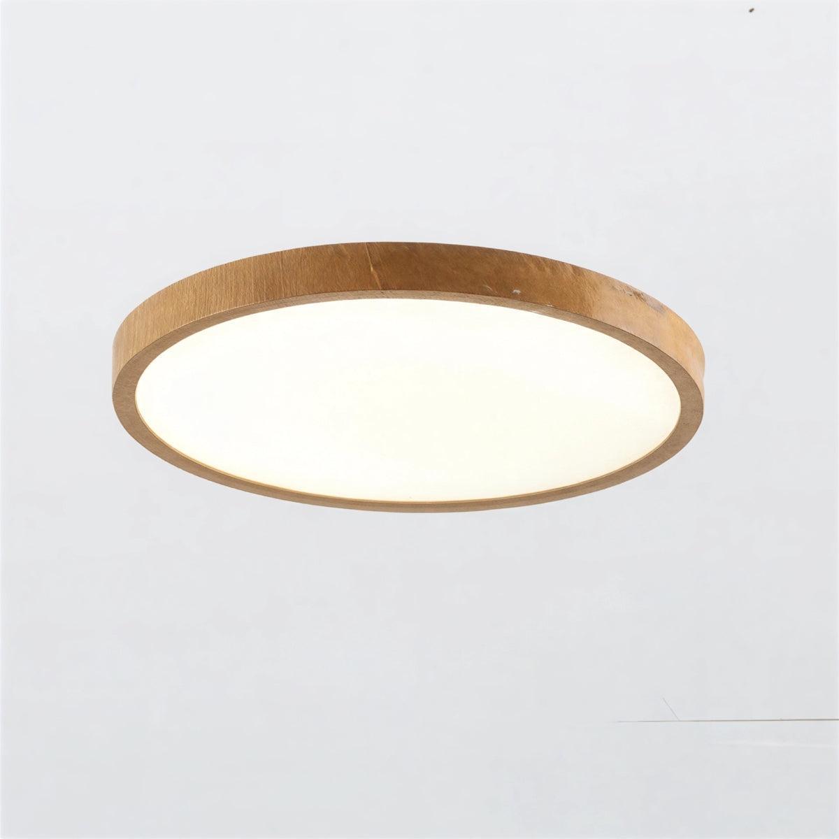 Ultrathin Circular Flushmount Ceiling Light With Adjustable Lighting Modes