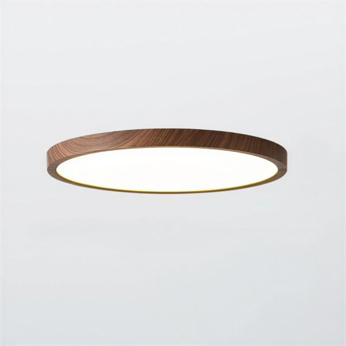 Ultrathin Circular Flushmount Ceiling Light With Adjustable Lighting Modes