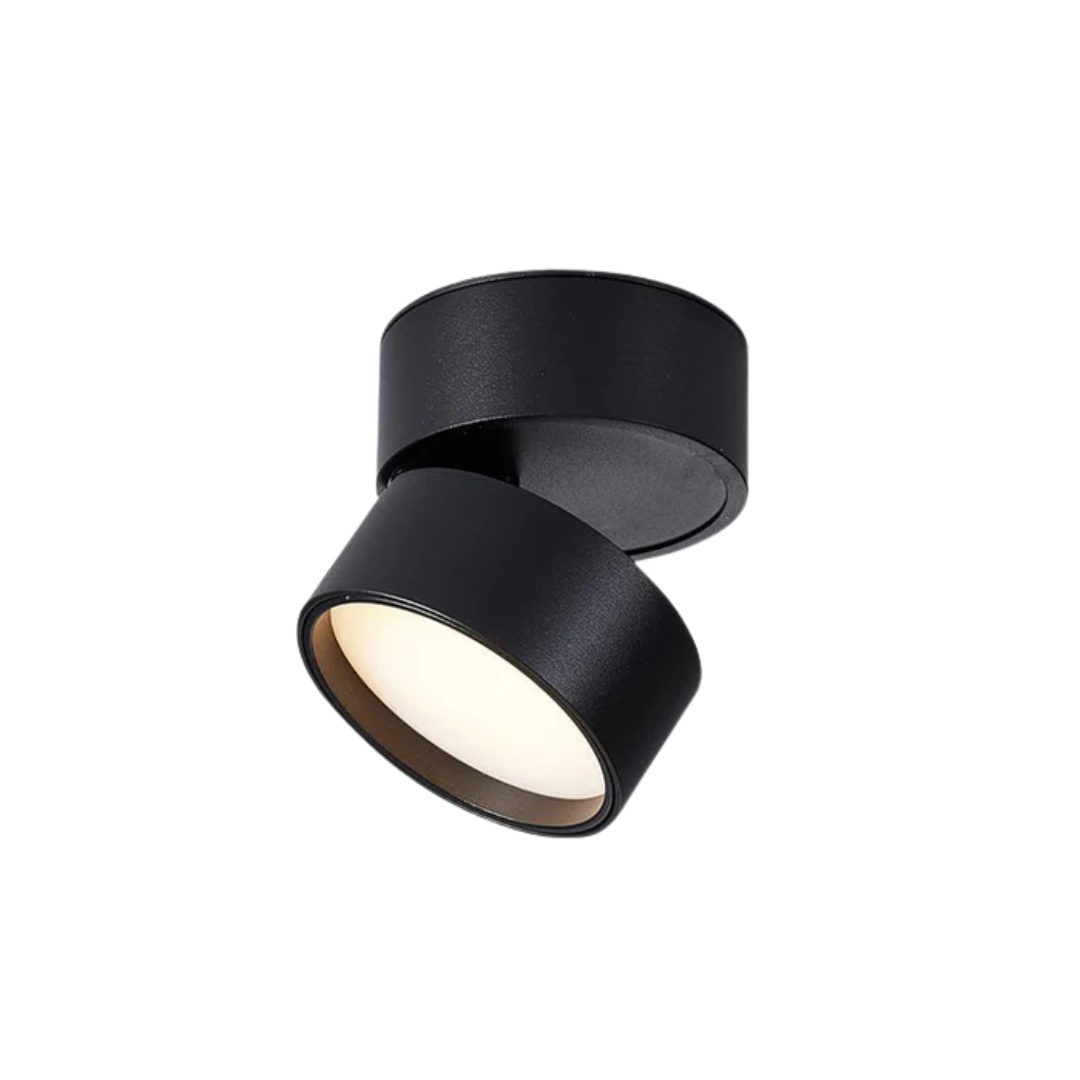 Black Aluminium Adjustable LED Surface Spotlight Ceiling Light Minimalist