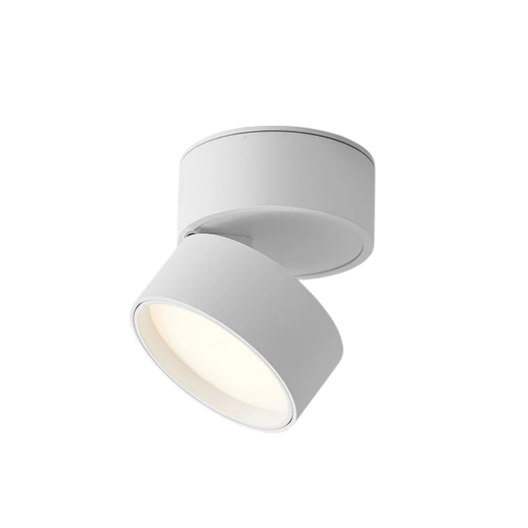 Black Aluminium Adjustable LED Surface Spotlight Ceiling Light Minimalist