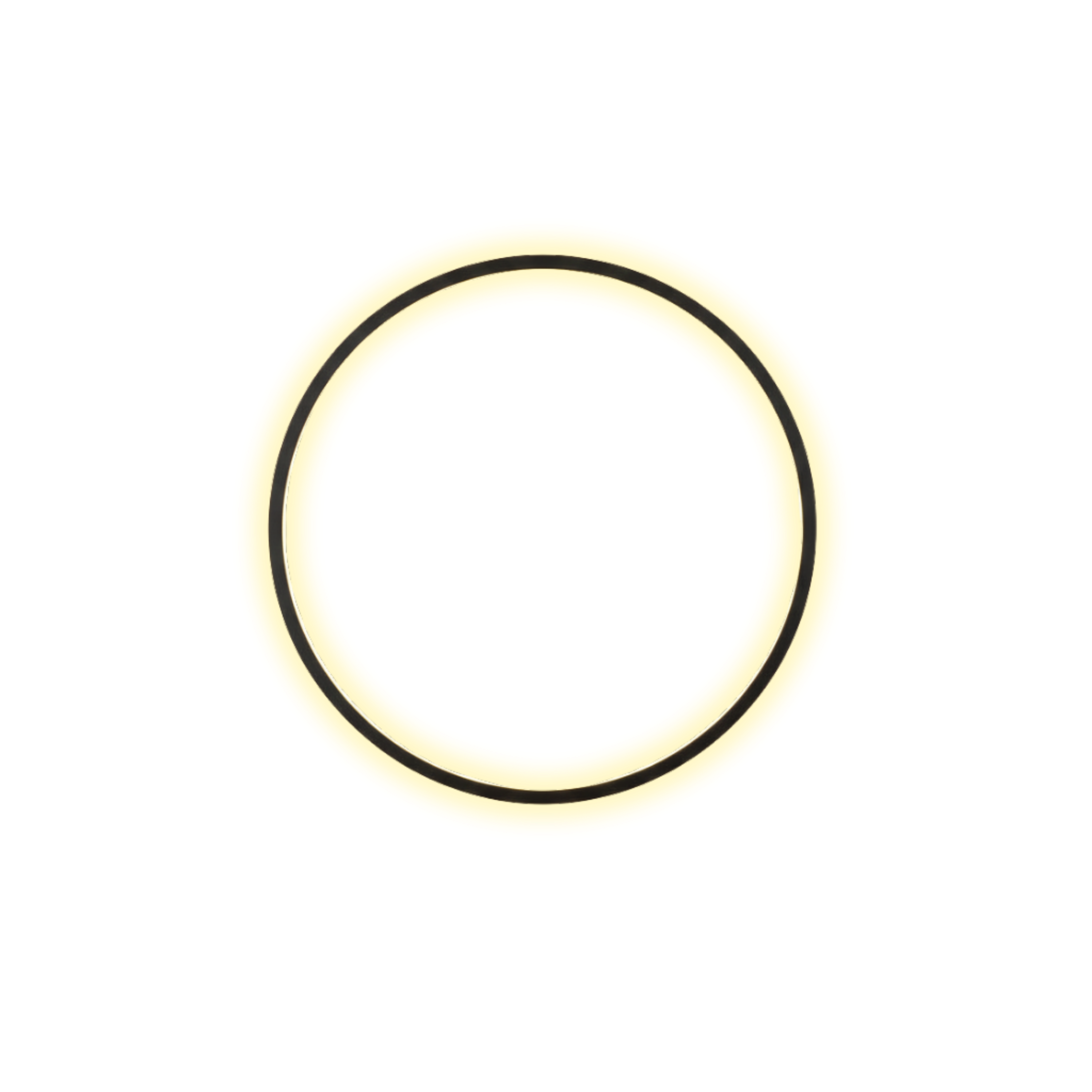 Minimalist Round LED Wall Light Black Frame Circular Wall Sconce