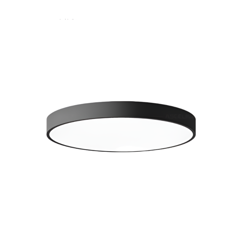 Minimalist Slim Round LED Flush Mount Ceiling Light