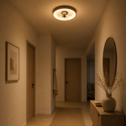 Modern Minimalist LED Ceiling Fan Light