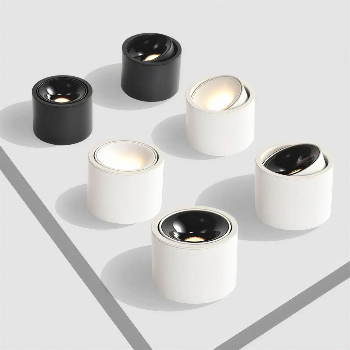 Cylindrical Ceiling Light Fixture With Adjustable Flush Mount Spotlight
