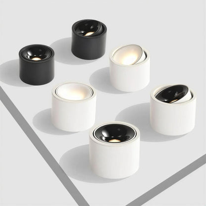 Cylindrical Ceiling Light Fixture With Adjustable Flush Mount Spotlight