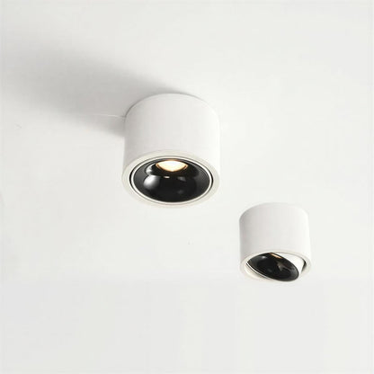 Cylindrical Ceiling Light Fixture With Adjustable Flush Mount Spotlight