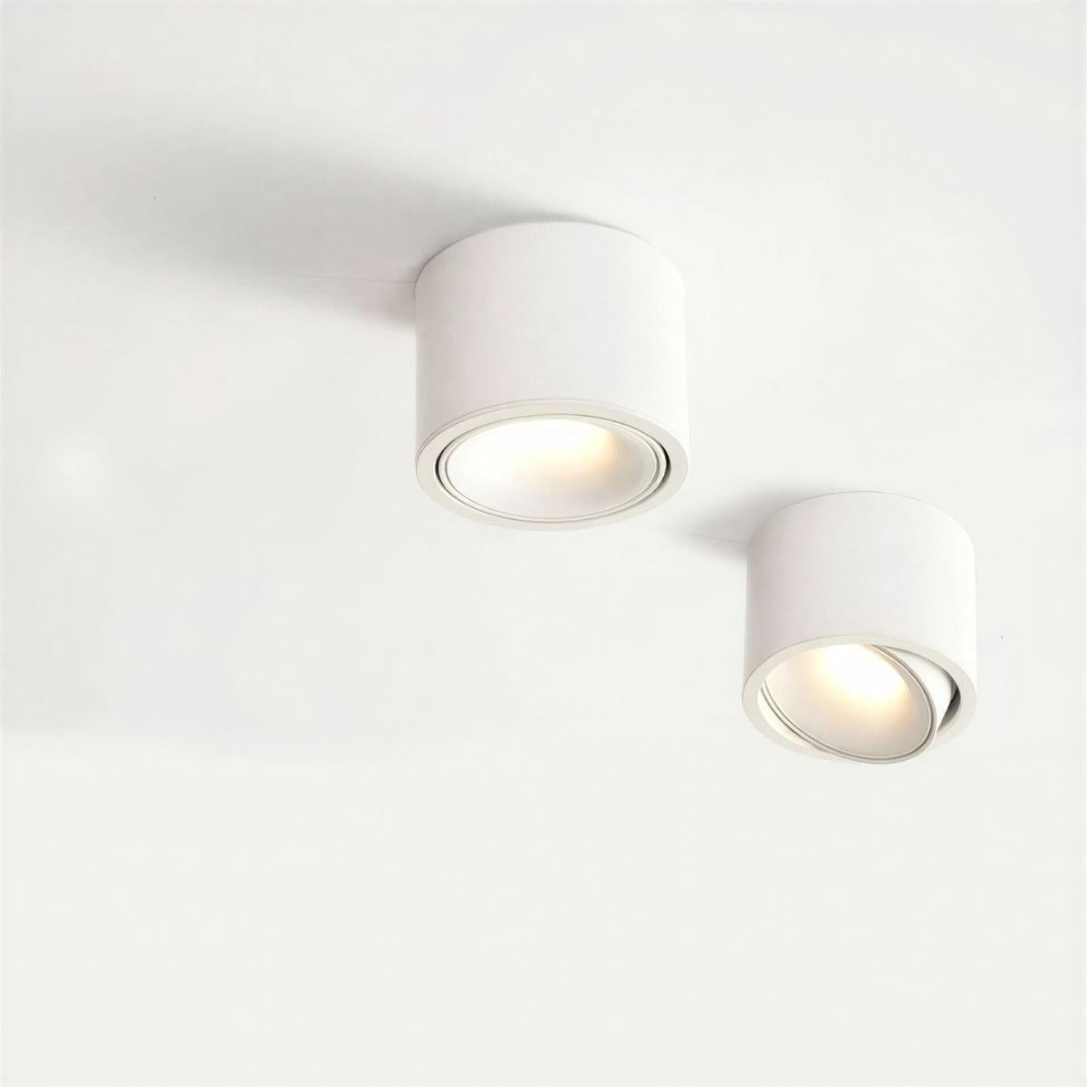 Cylindrical Ceiling Light Fixture With Adjustable Flush Mount Spotlight