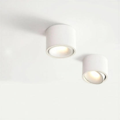 Cylindrical Ceiling Light Fixture With Adjustable Flush Mount Spotlight