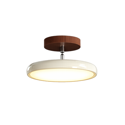 Round Retro LED Vintage Ceiling Light