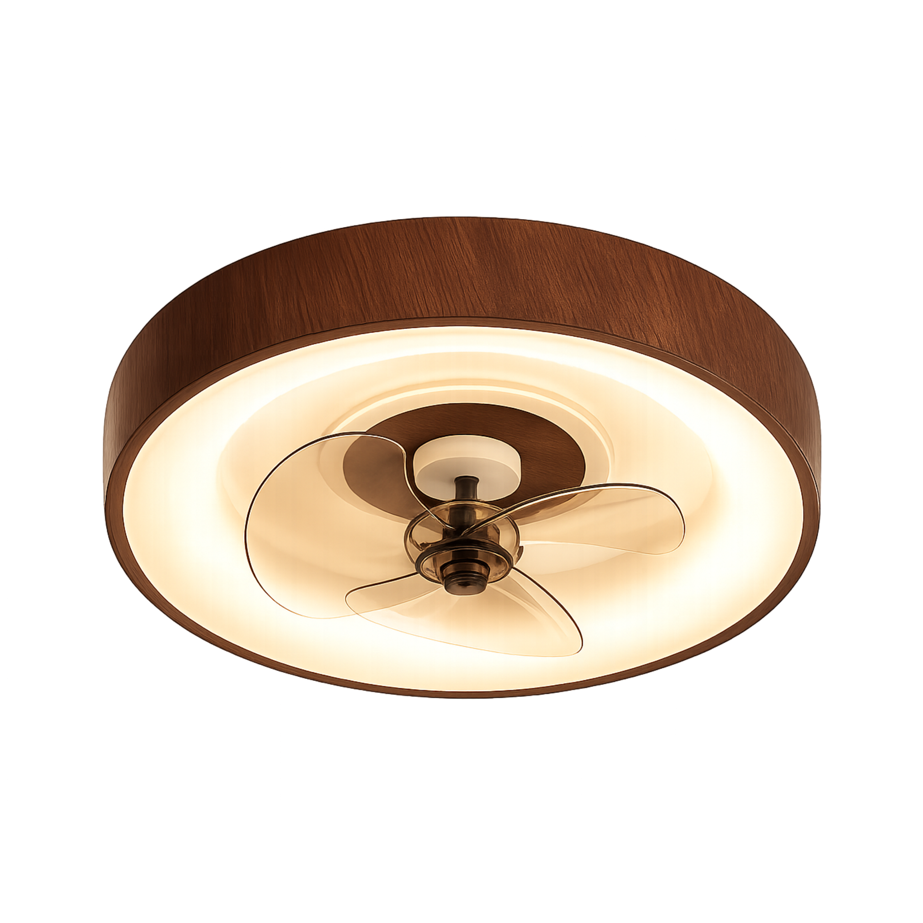 Modern Minimalist LED Ceiling Fan Light