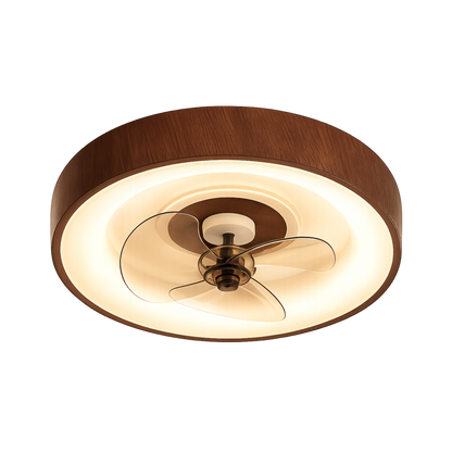 Modern Minimalist LED Ceiling Fan Light