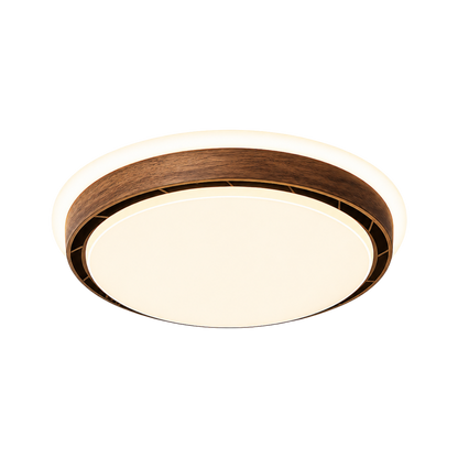Bladeless LED Ceiling Fan Light