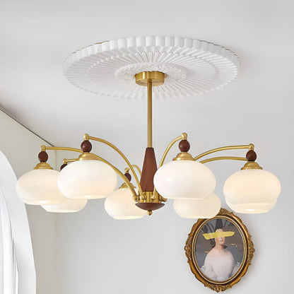 Mid Century Chandelier Light With Glass Shades For Dining Room
