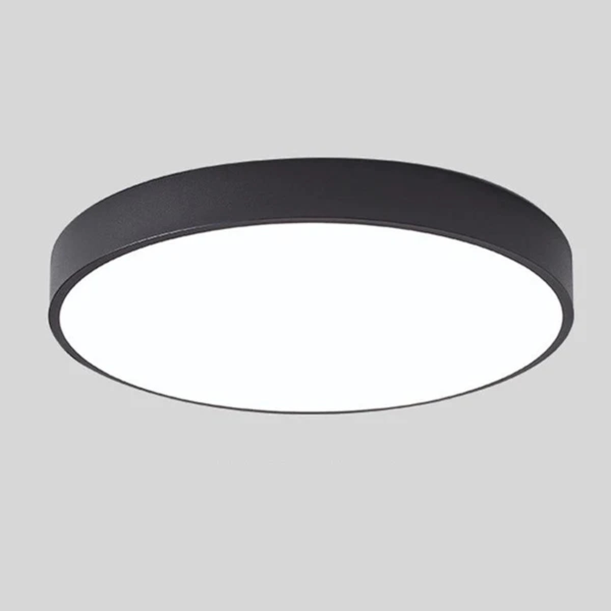 Modern Minimalist Circular Flush Mount Ceiling Lighting Fixture