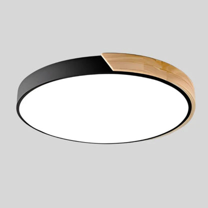 Modern Minimalist Circular Flush Mount Ceiling Lighting Fixture