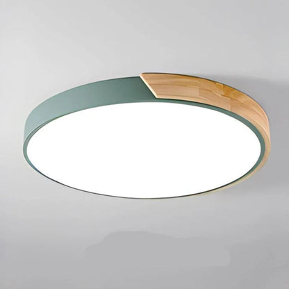 Modern Minimalist Circular Flush Mount Ceiling Lighting Fixture
