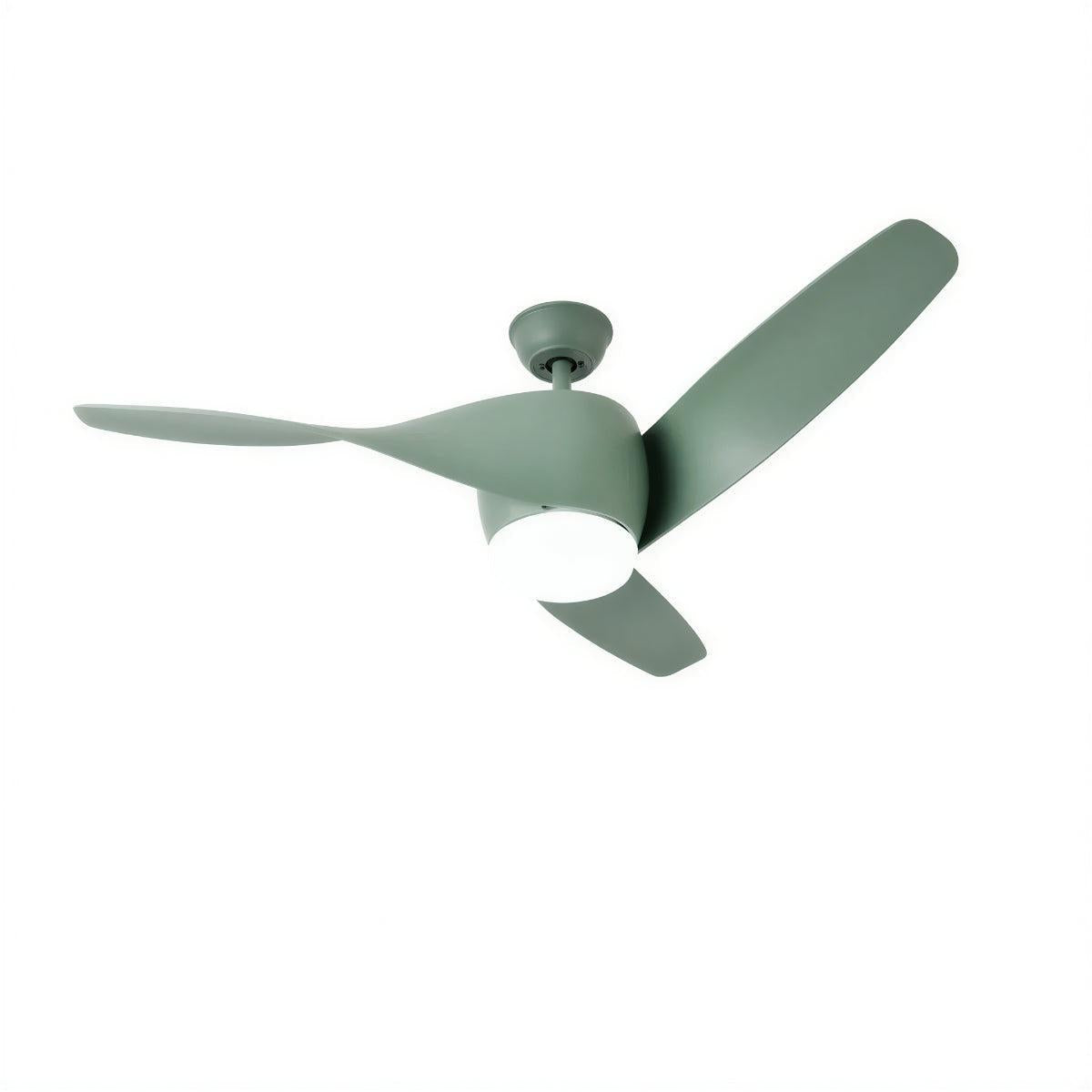 Modern Wooden Curved Ceiling Fan With Light