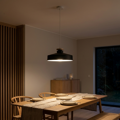 Black Iron LED Pendant Ceiling Light