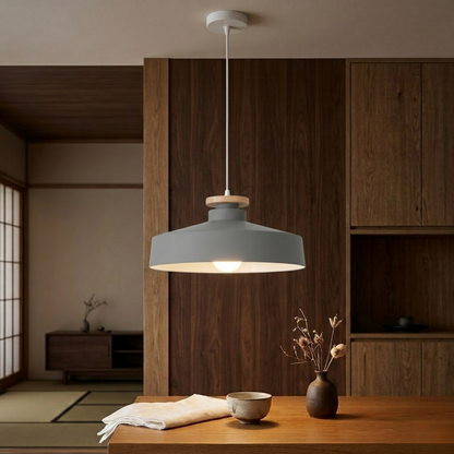 Black Iron LED Pendant Ceiling Light