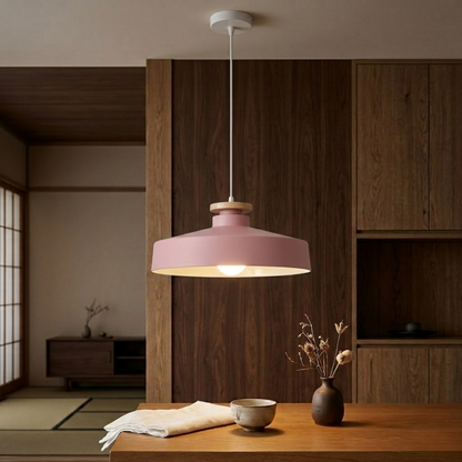 Black Iron LED Pendant Ceiling Light