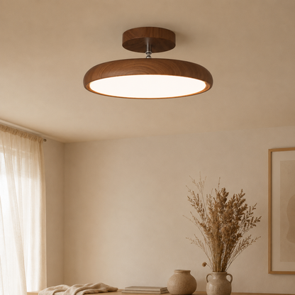 Round Retro LED Vintage Ceiling Light