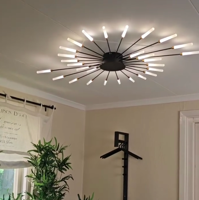 Black And Gold Firework Spiral Flush Mount LED Ceiling Light