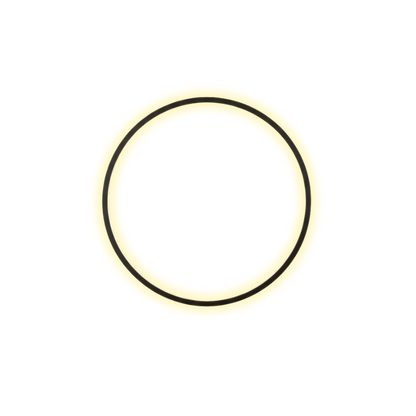 Minimalist Round LED Wall Light Black Frame Circular Wall Sconce
