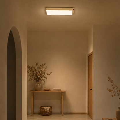 Modern LED Acrylic and Iron Flush Mount Ceiling Light