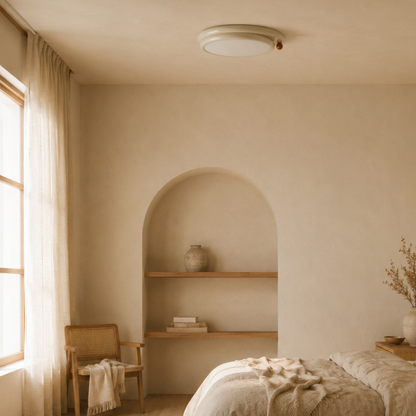 Modern LED Acrylic and Iron Flush Mount Ceiling Light