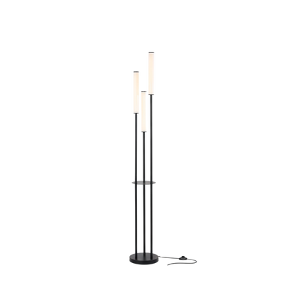 Modern Minimalist Black Aluminium Three Light Dimmable LED Floor Lamp With Remote Control