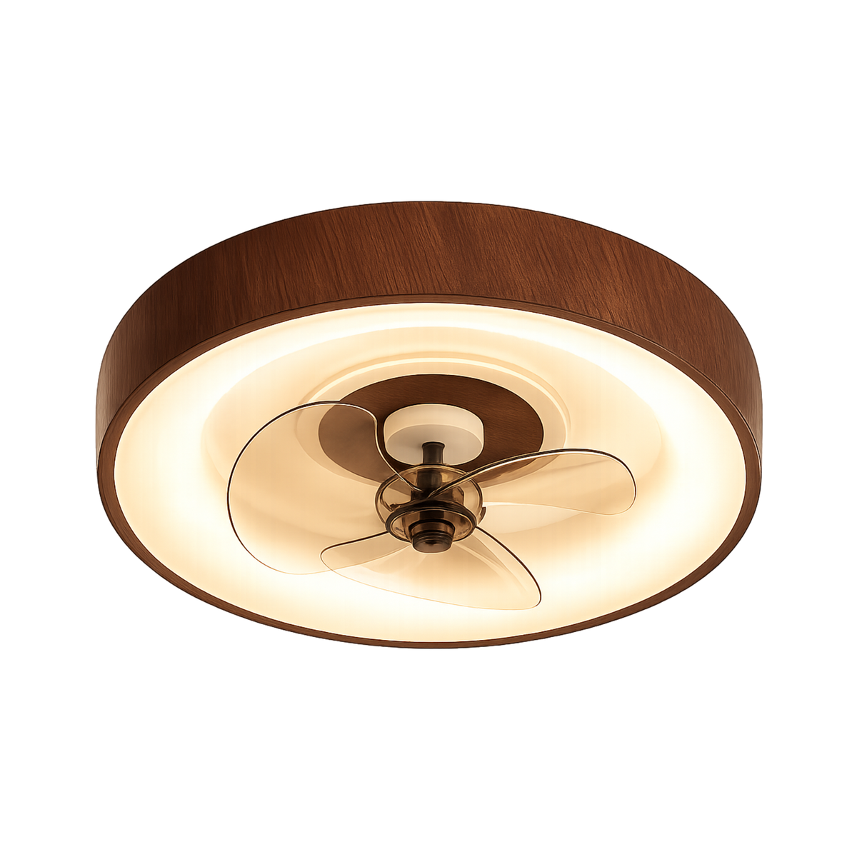 Modern Minimalist LED Ceiling Fan Light